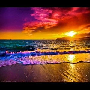 Meet your Posher, Cole